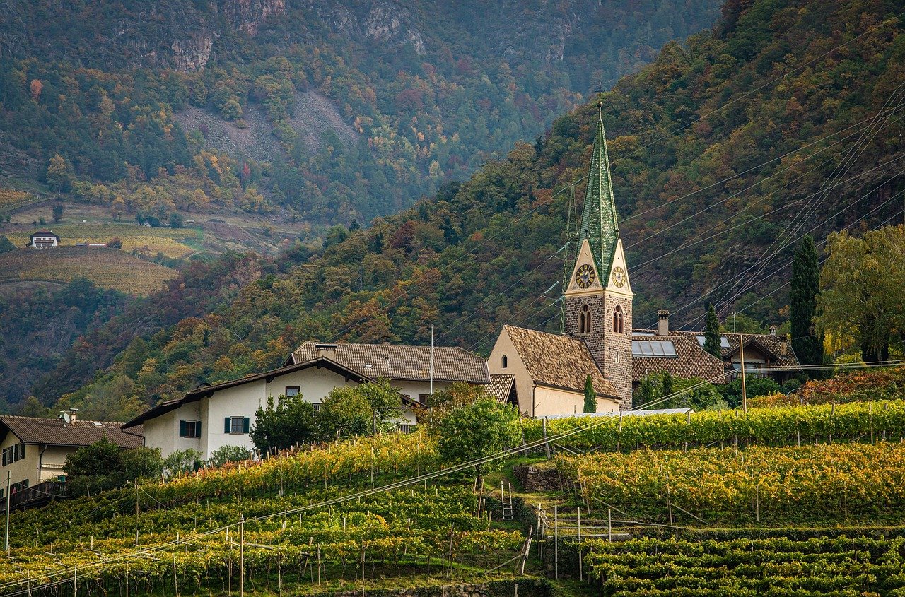 Herbst, Stadt, Weinberg, Herbstweinberg, Bozen, Italien, Reisen, Natur, Herbstfarben, Weinberg, Reisen, Reisen, Reisen, Reisen, Reisen, Natur, Natur