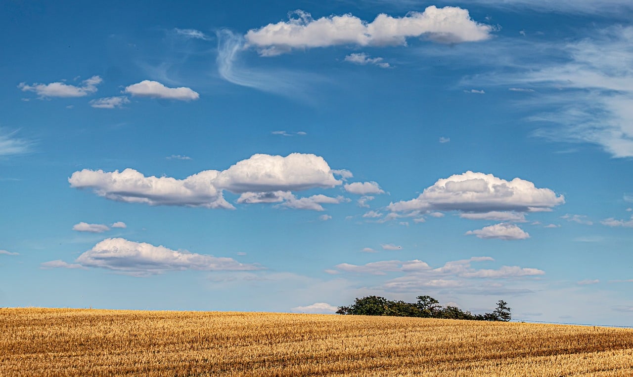 cielo, nuvole, rurale, campo di grano, sfondo full hd, sfondi desktop, sfondo gratuito, estate, sfondo 4k 1920x1080, agricoltura, natura, sfondo naturale, sfondo natura, orizzonte, sfondo 4k, paesaggio, sfondo gratuito, soleggiato, diurno, cielo blu,