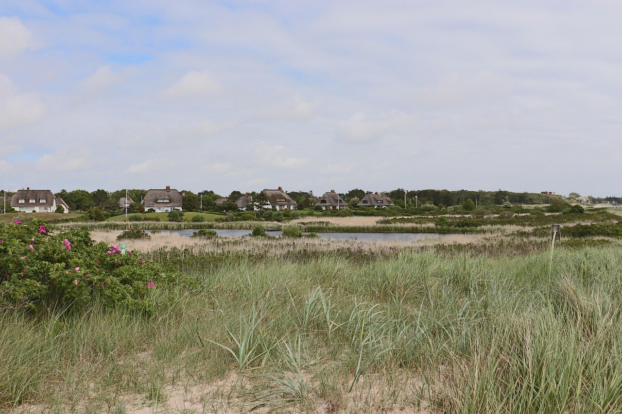 Häuser, Gebäude, Teich, Gras, Natur, Weideland, Deutschland, Tourismus, Nordfriesland, Föhr, Wyk