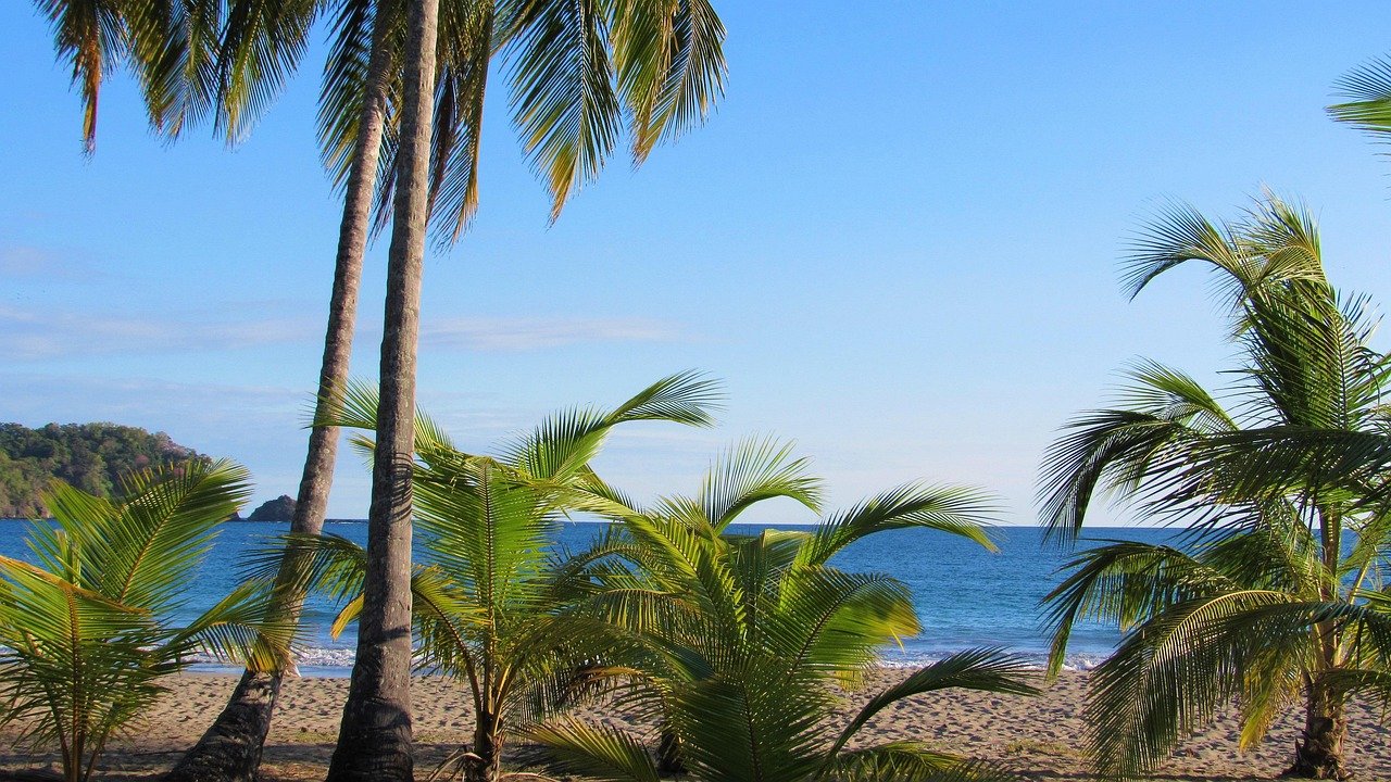 Strand, Playa Carrillo, Natur, Costa Rica, Palme