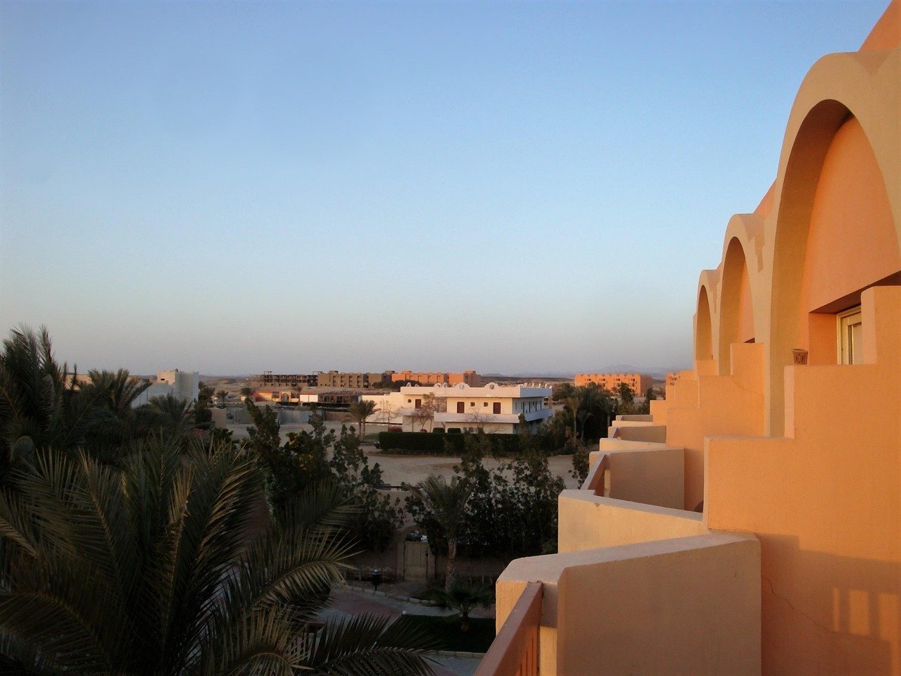 manzara, marsa alam, palmiye ağaçları, marsa alam, marsa alam, marsa alam, marsa alam, marsa alam