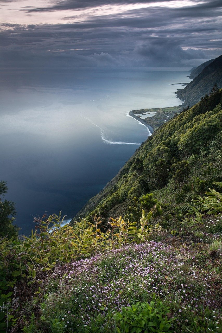 Berg, Insel, Meer, Ozean, Wasser, Küste, Pflanzen, Vegetation, Ruhe, Tourismus, Biodiversität, natürlich, Landschaft, malerisch, Natur, Fajã, São Jorge, Azoren, Portugal, Biodiversität, Biodiversität, Biodiversität, Azoren, Azoren, Portugal, Portugal, Hafen