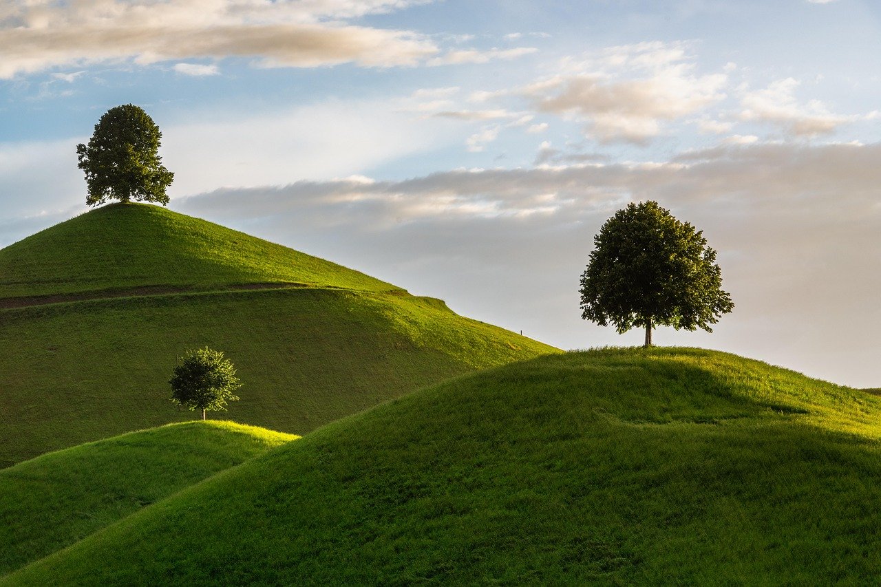 collina, albero, drumlin, natura, paesaggio