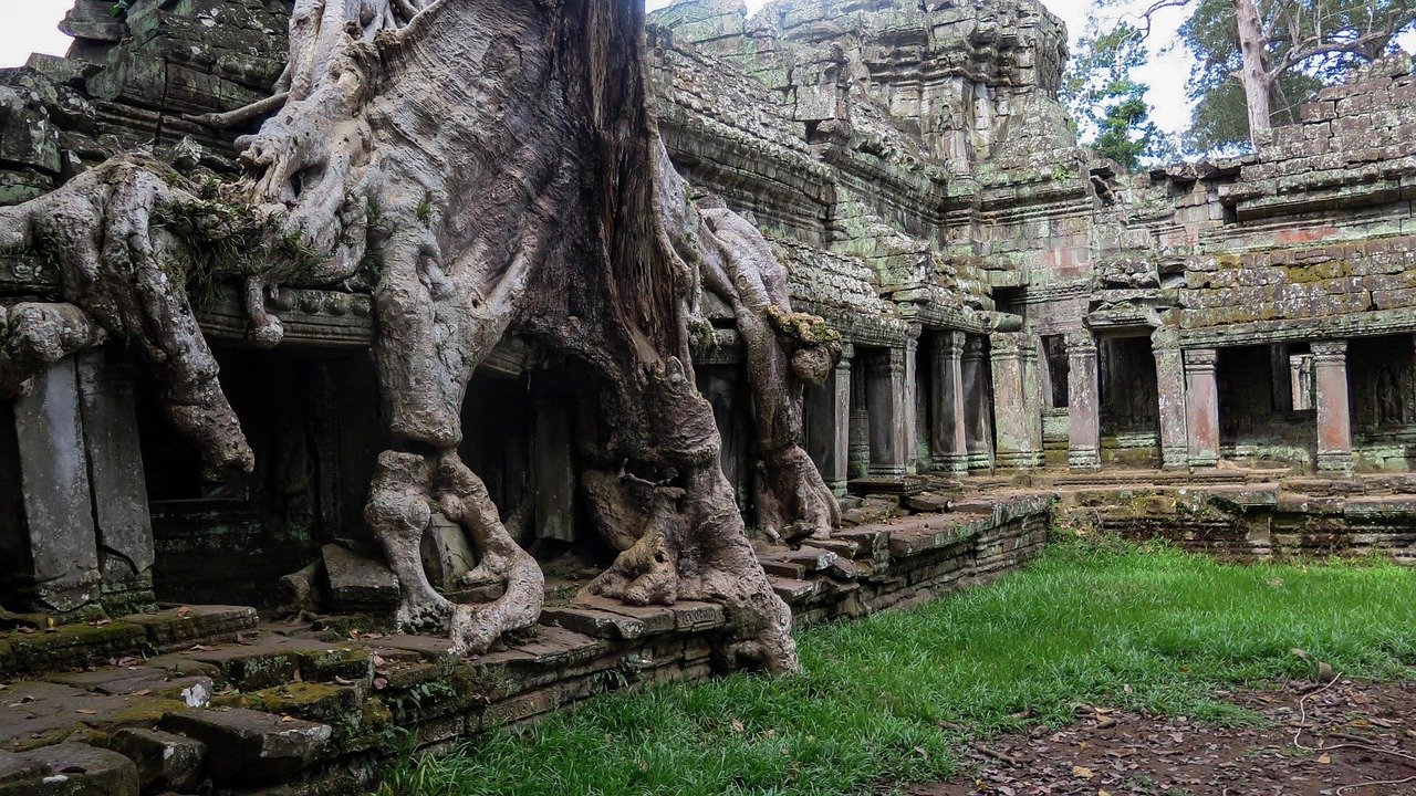 cambogia, angkor, tempio, storia, asia, natura, templi, giungla, preah khan, radice, albero, ricoperto di vegetazione