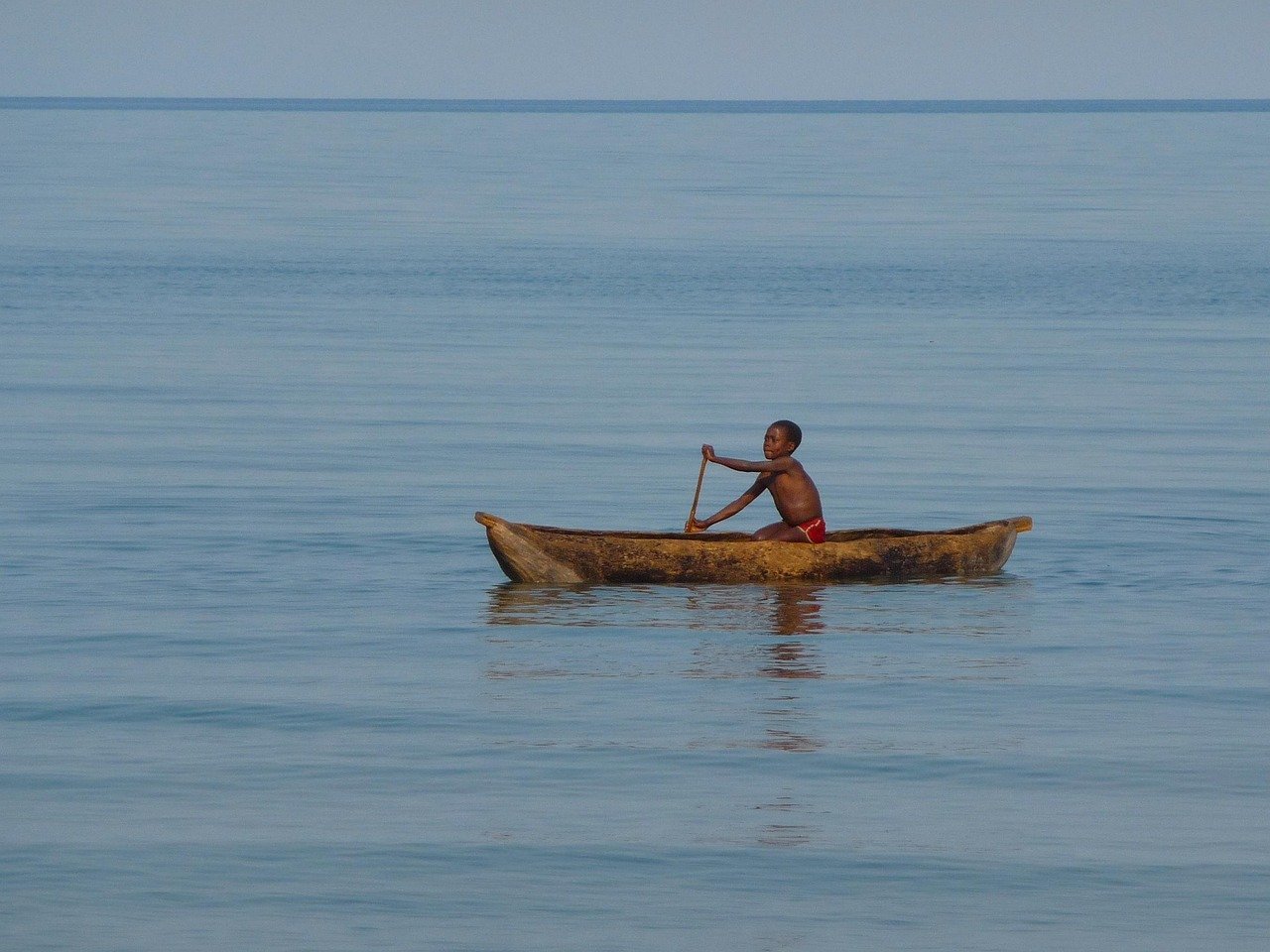 malawi, malawi lake, lake malawi, child, boat, a tree, paddle, malawi, malawi, malawi, malawi, malawi, lake malawi