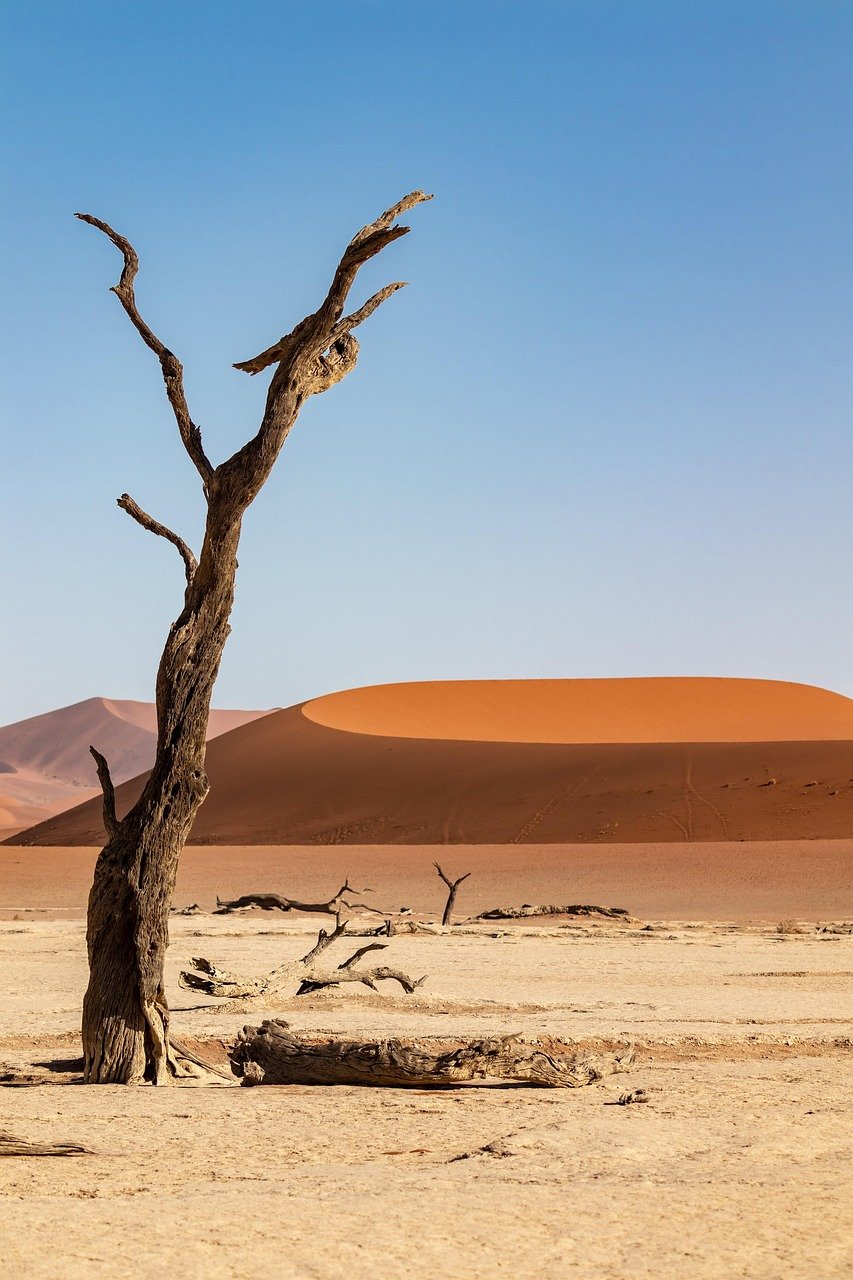 namibia, desierto, arena, duna, dunas, sossusvlei, sahara, seco, naturaleza, árbol, dunas de arena, desierto del namib, arenoso, caluroso, camaleón, automóvil, chatarra, desierto pedregoso, cielo, paisaje, sequedad, desierto, desierto, desierto, desierto, desierto