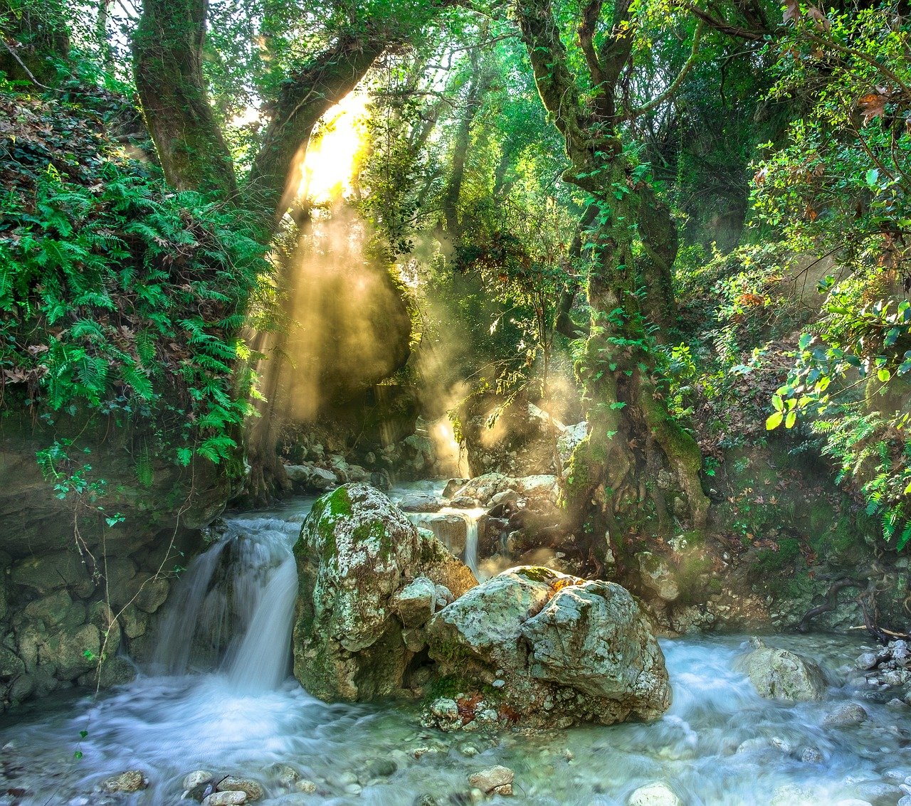 yağmur ormanı, cengel, akarsu, ağaçlar, orman, nehir, manzara, doğa, güneş ışınları, yağmur ormanı, yağmur ormanı, yağmur ormanı, cengel, cengel, cengel, cengel, cengel, orman, orman, nehir