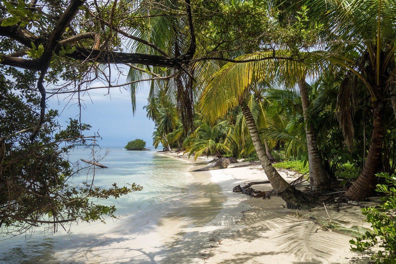 plaj, san blas adaları, doğa, panama, ada, cennet, deniz, karayip, su, kum, cengel, takımada, tatil
