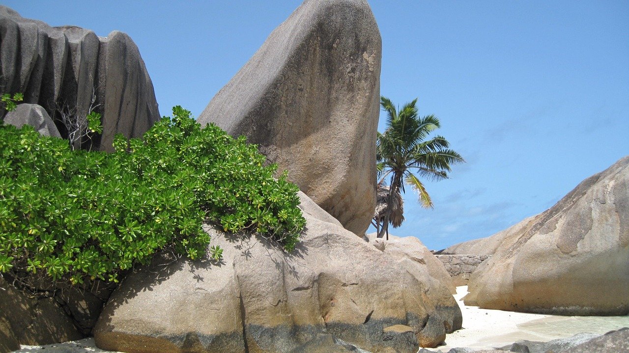 Seychelles, nature, plage, rochers de granit, palmiers, océan Indien