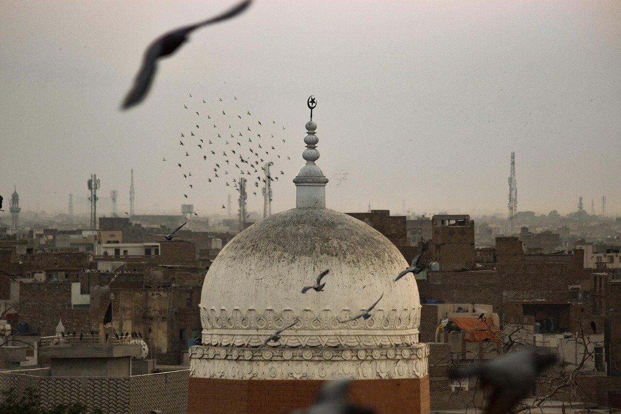 birds, nature, religion, islam