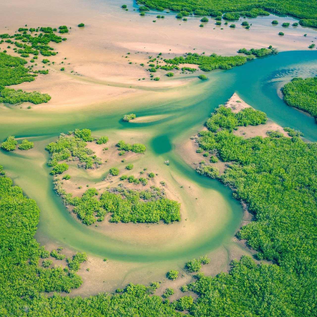 vista aérea, Senegal, África, desde arriba, dron, río, manglares, Senegal, Senegal, Senegal, Senegal, Senegal, manglares