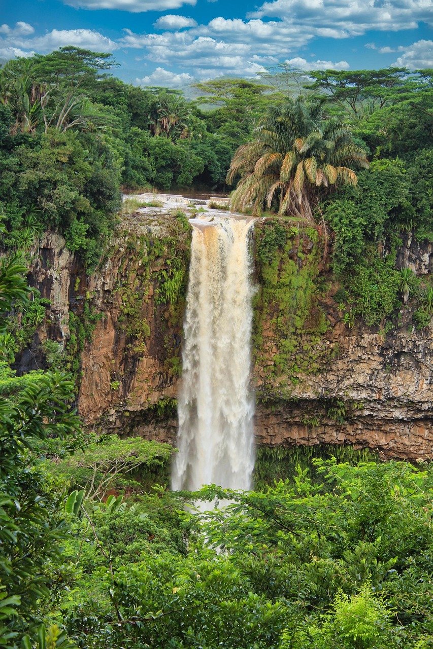 rivière de cap, nature, chamarel, waterfall, water masses, mauritius, jungle, trees