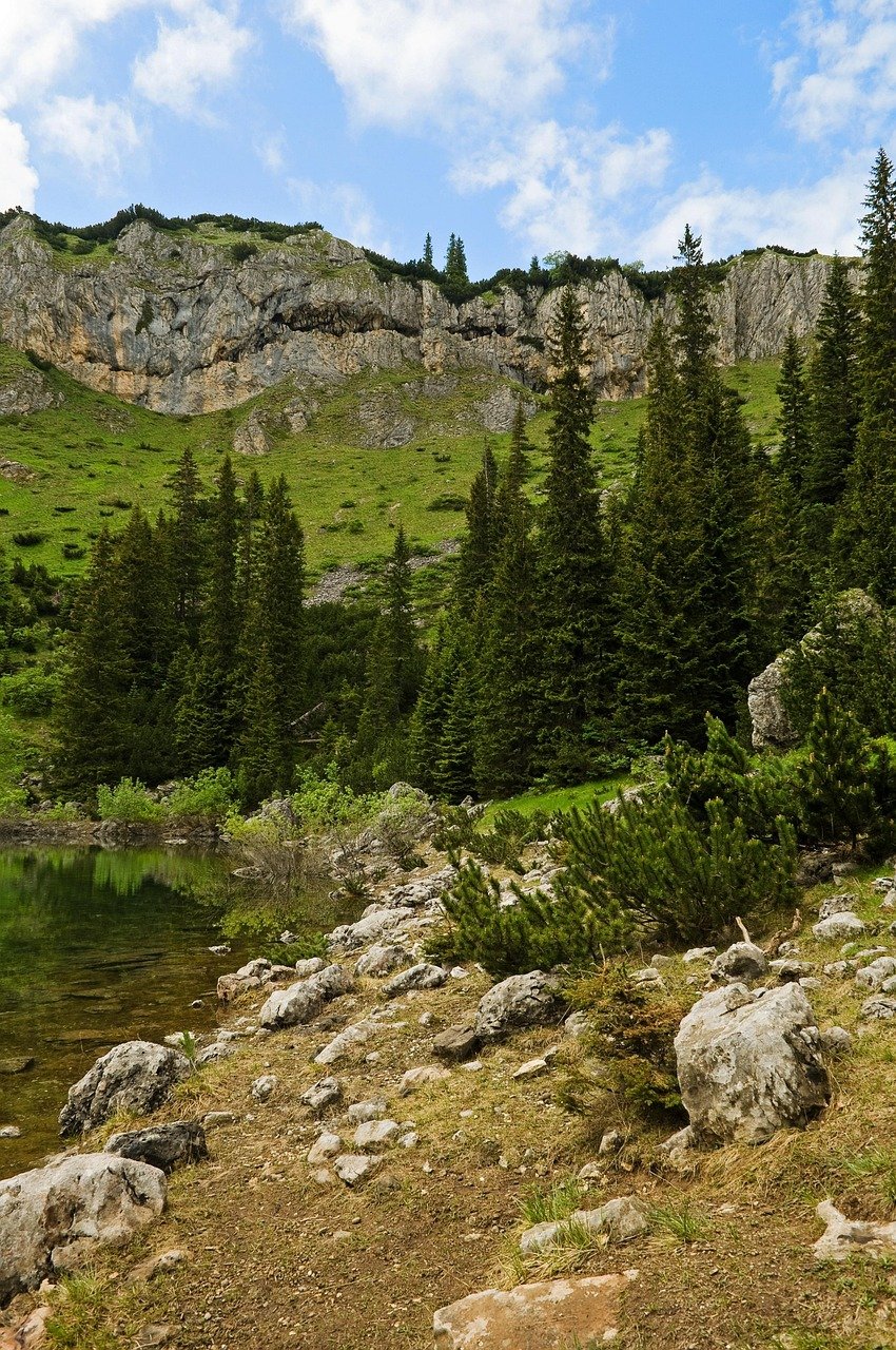 dağlar, kayalar, doğa, orman, karadağ, durmitor, jablan gölü, zabljak