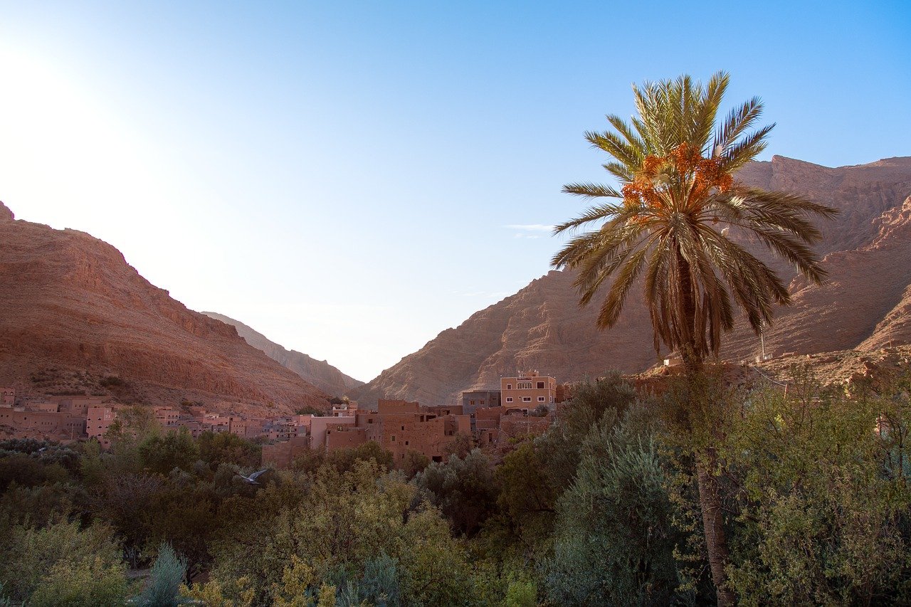morocco, africa, tinghir, nature, todra, canyon, landscape, palma, trees, arab, travels, tourism, marroc