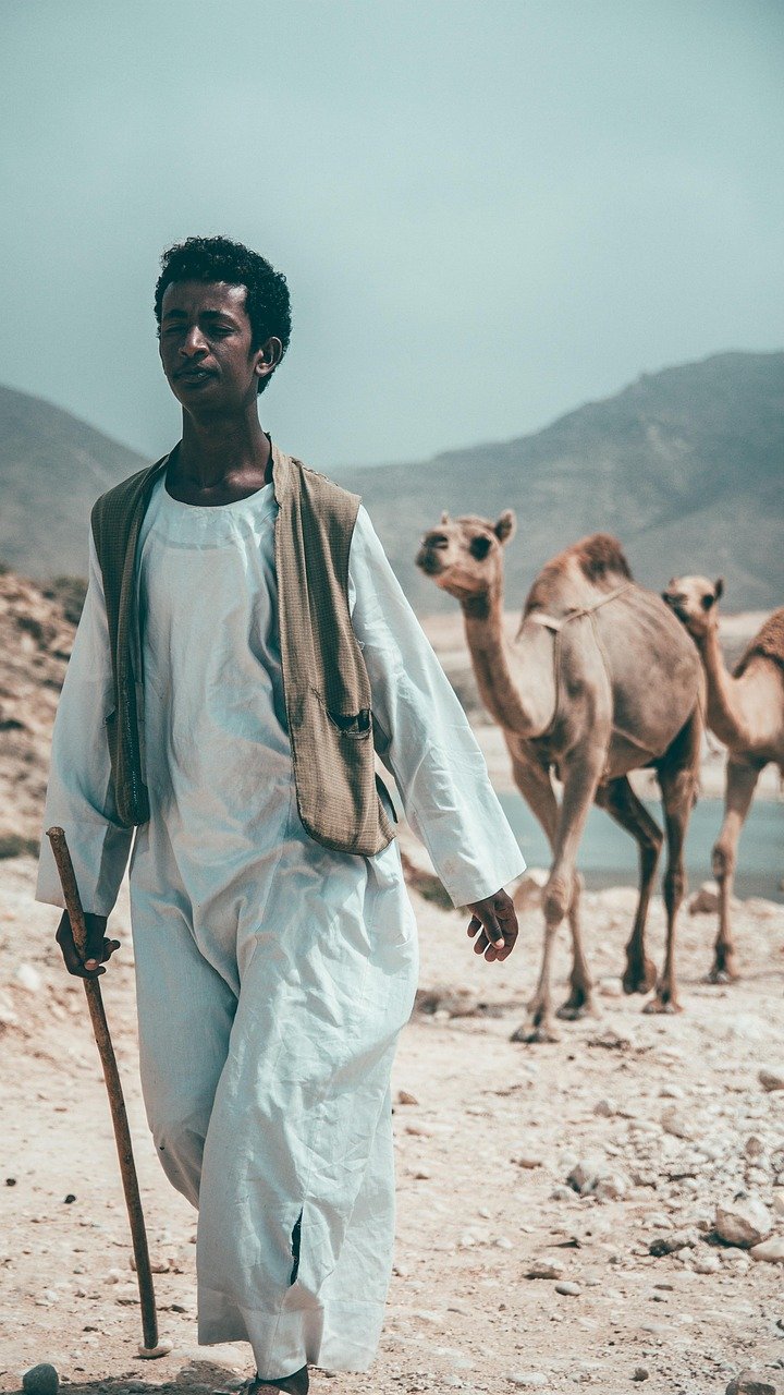 chameaux, nature, désert, homme, Oman, Salalah, voyage, paysage sec, sable, paysage, paysage aride