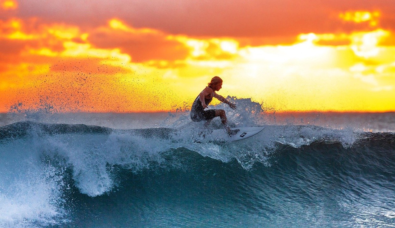 surfing, sunset, waves, surf, surfboard, surfer, water sports, nature, sea, java island, indonesia, water, ocean, seascape
