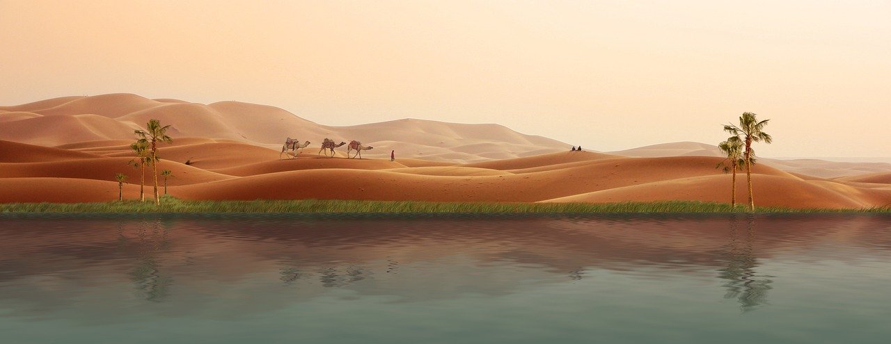 oasis, desert, caravan, palm trees, sand dunes, nature, photomontage, composing, compositing