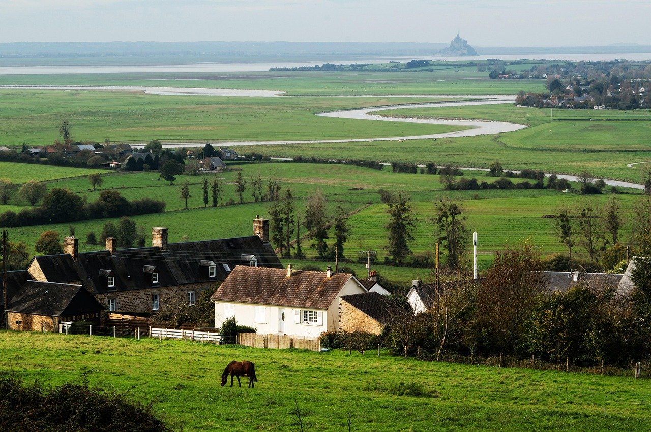 köy, çiftlikler, at, tarlalar, mont saint michel, fransa, doğa, manzara, köy, köy, köy, köy, köy