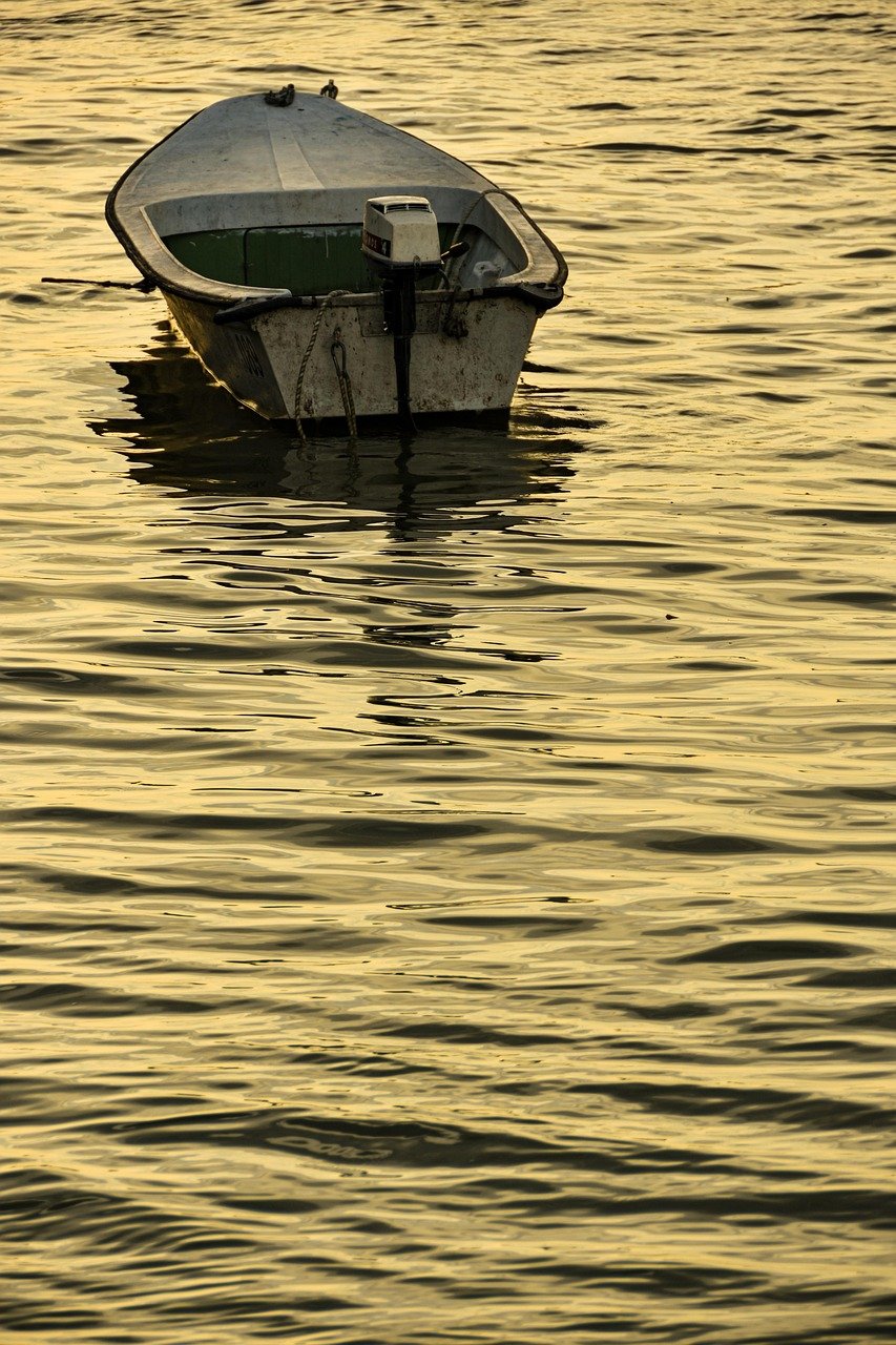 bateau, rivière, crépuscule, bateau en bois, eau, Danube, Zemun, Belgrade, Serbie, reflet, coucher de soleil, nature