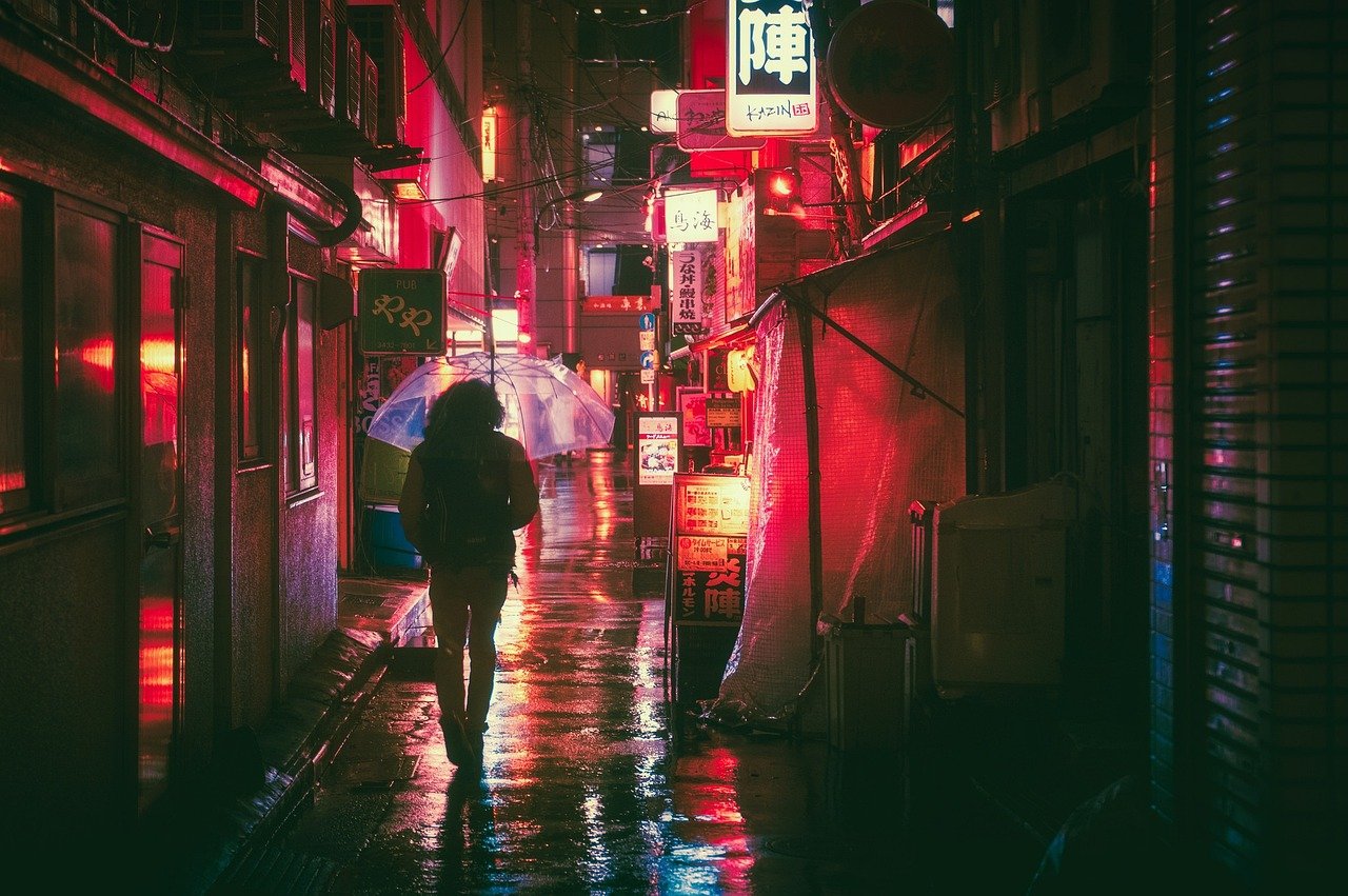 japan, osaka, night, asia, landmark, travel, japanese, nature, architecture, city, building, tourist, outdoor, street food, street markets, neon, glow, advertising, urban, man, guy, people, traveller, adventure, rain, umbrella
