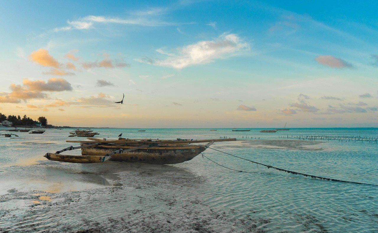 afrika, sansibar, strand, tansania, insel, exotisch, wasser, sonne, natur, sand, ozean, sommer, tropisch, meer, afrika, afrika, sansibar, sansibar, sansibar, sansibar, sansibar, tansania, tansania