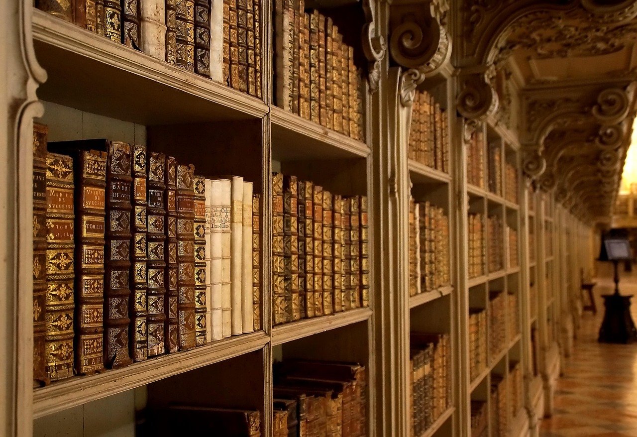 palacio nacional de mafra, biblioteca, libros, portugal, mafra, palacio nacional de mafra, estantería, estante, libros antiguos, vintage, antiguo, literatura, biblioteca, biblioteca, biblioteca, biblioteca, biblioteca, estantería