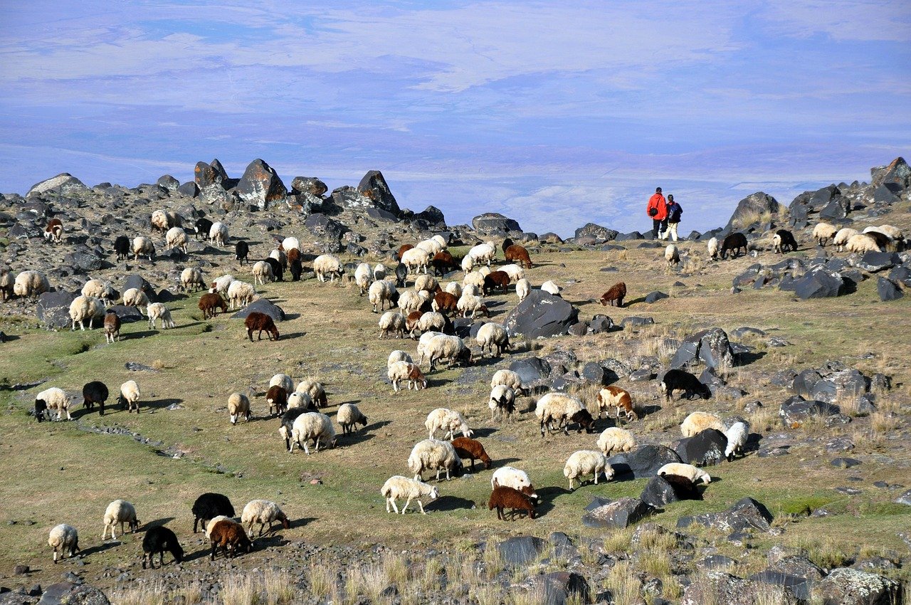 monte ararat, ararate, naturaleza, turquía, monte ararat, monte ararat, monte ararat, monte ararat, monte ararat, ararate, ararate