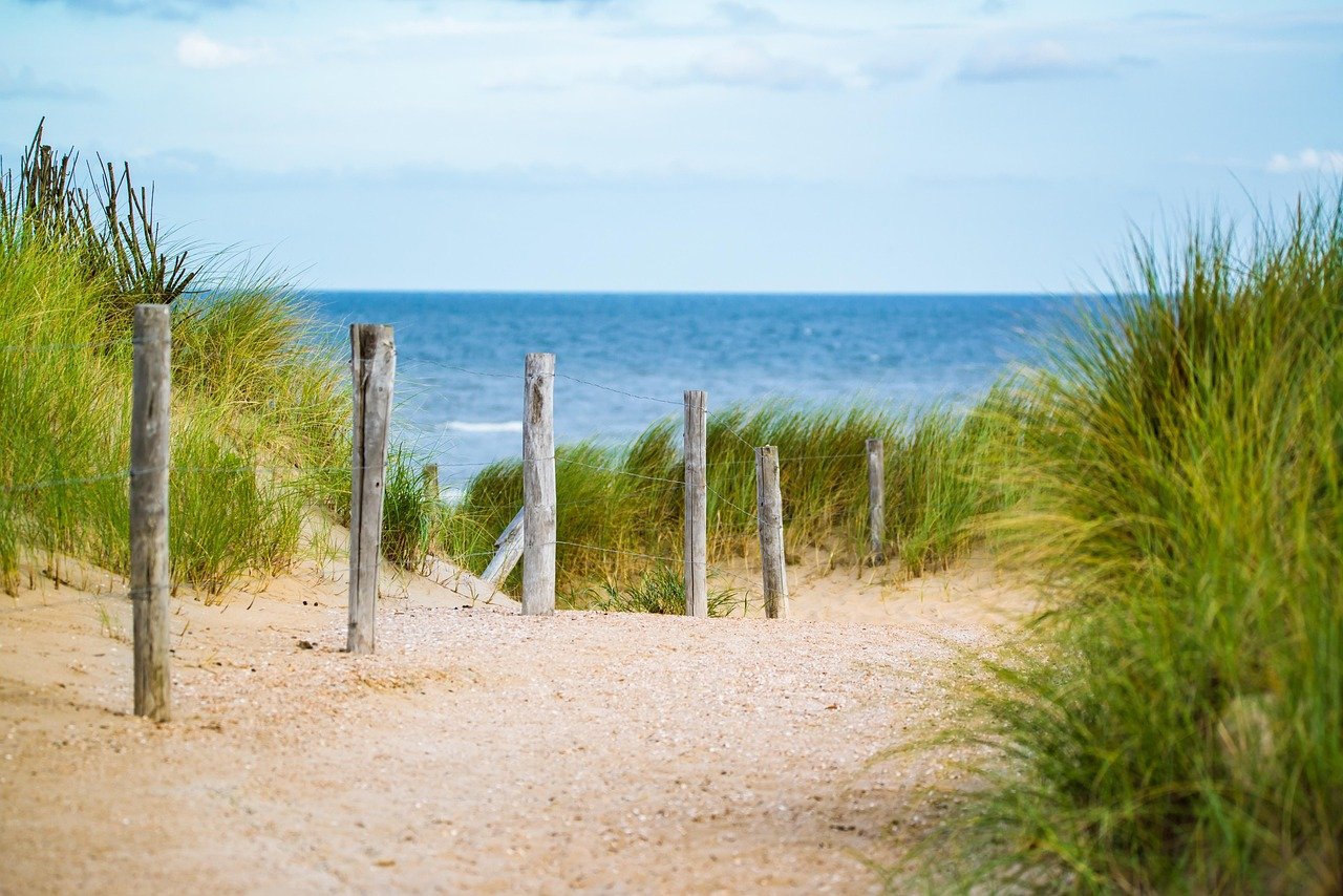 thin, sea, fence, water, vacation, nature, north sea, path, sand, beach, landscape, travel