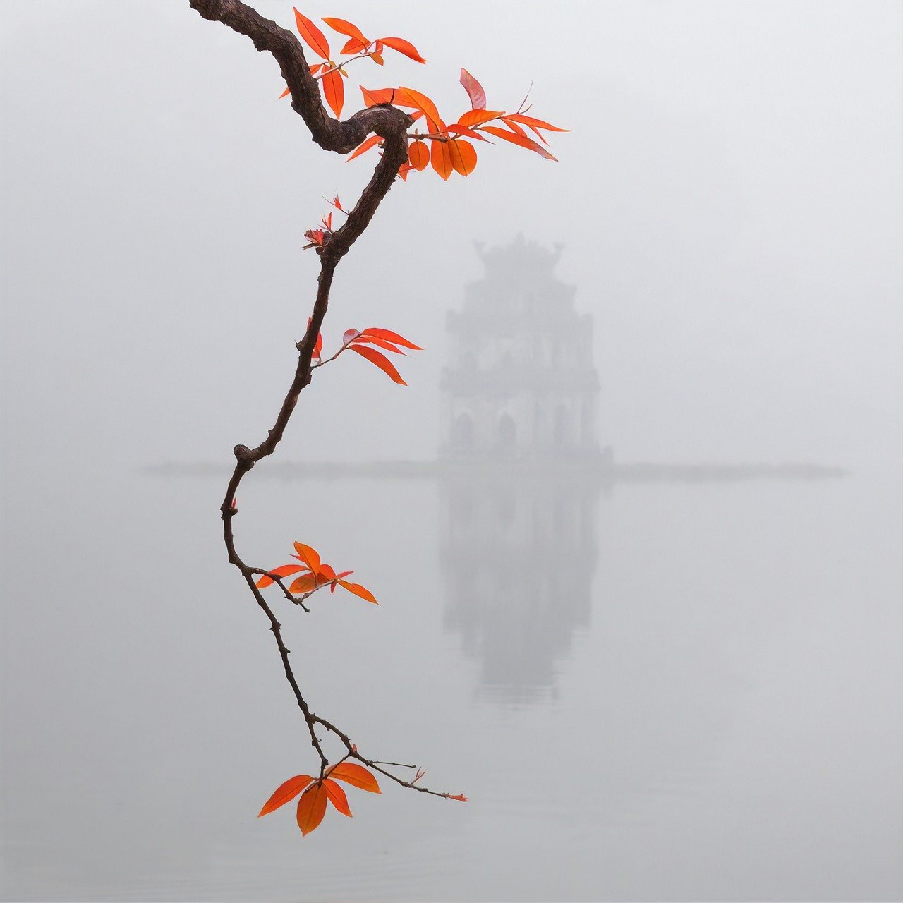 lago Hoan Kiem, Hanói, Vietnam, primavera, Vietnam, Hanói, lago, naturaleza, otoño, paisaje, Ho Guom, vietnamita, ciudad, árbol, agua, ciudad gris, agua gris, árbol gris, lago gris