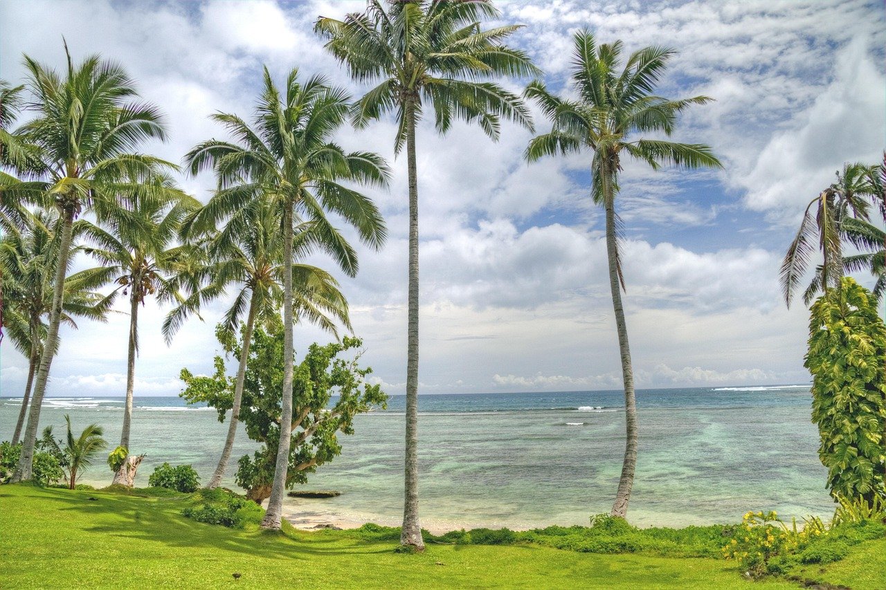 palme, alberi, oceano, tropicale, Samoa, spiaggia, tropici, natura, Samoa, Samoa, Samoa, Samoa, Samoa