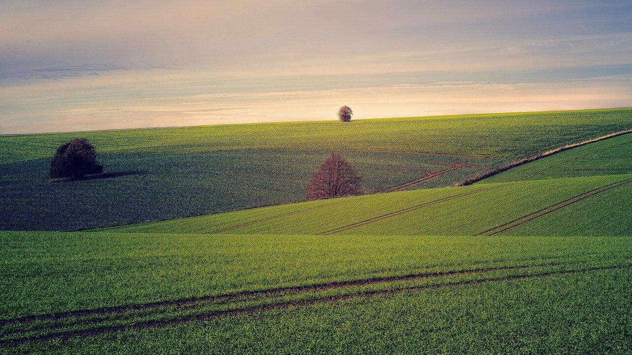 campo, aire libre, pradera, campo, colina, paisaje, naturaleza, rural, hierba, campo, campo, campo, campo, campo