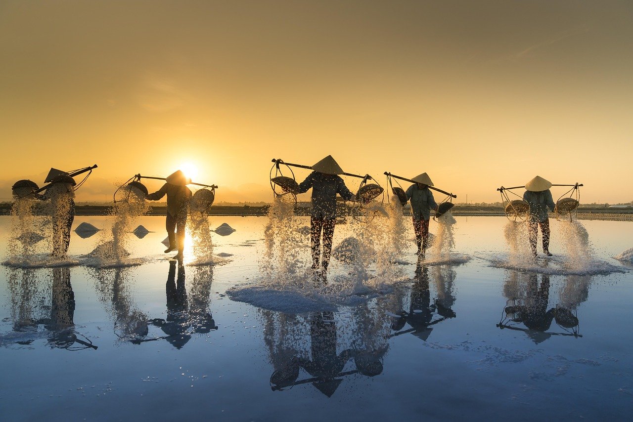 cosecha de sal, Vietnam, naturaleza, agua, sal, trabajo, personas, reflejo, Hon Khoi, salina, tropical, agricultura, Asia, cosecha, asiático, sombreros, tradicional
