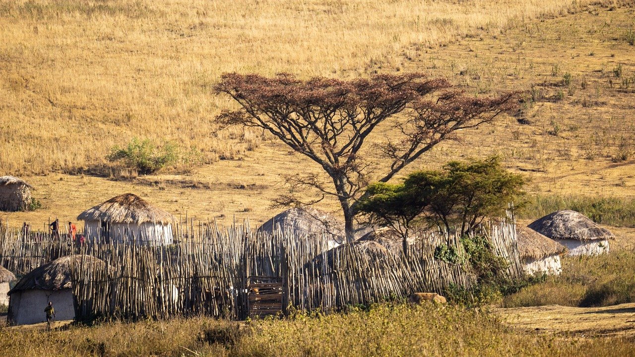 tanzania, africa, nature, serengeti, village, masai mara, maasai mara, landscape, tanzania, serengeti, masai mara, masai mara, masai mara, masai mara, masai mara, maasai mara, maasai mara, maasai mara