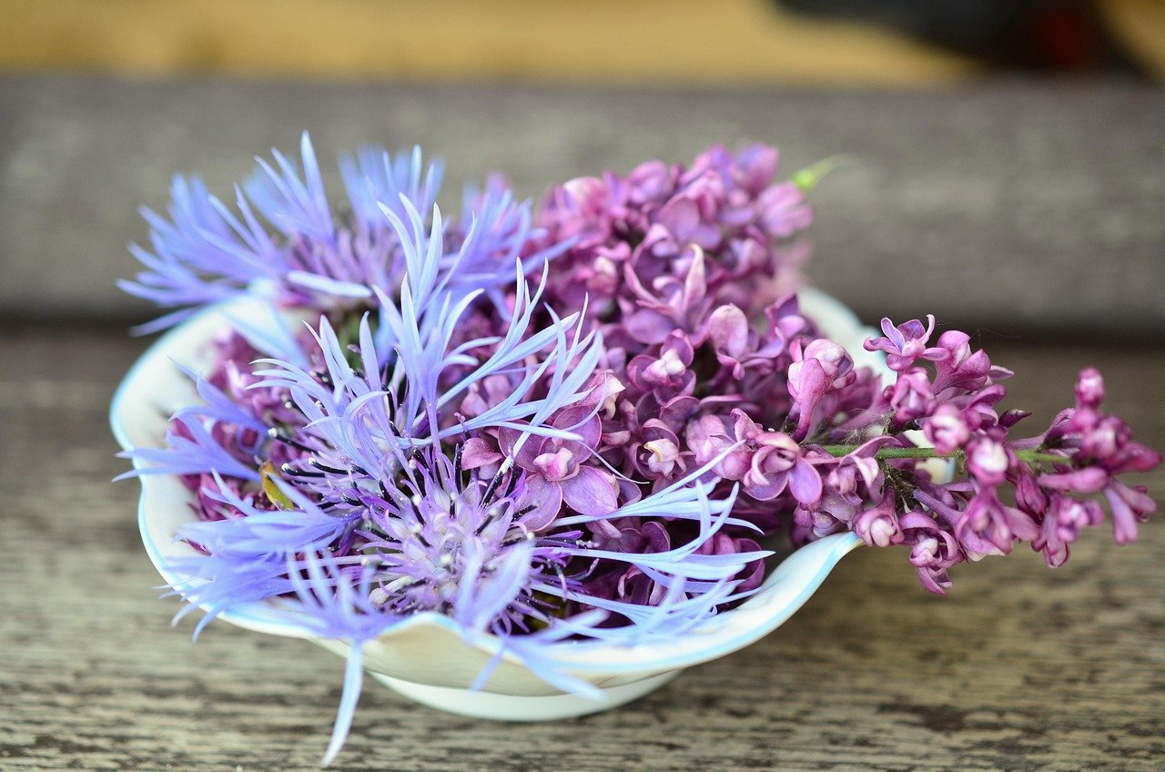 blossoms, flower bowl, hall, porcelain, lilac, knapweed, decoration, tender, beautiful, blossoms, lilac, lilac, lilac, beautiful, beautiful, beautiful, beautiful, beautiful