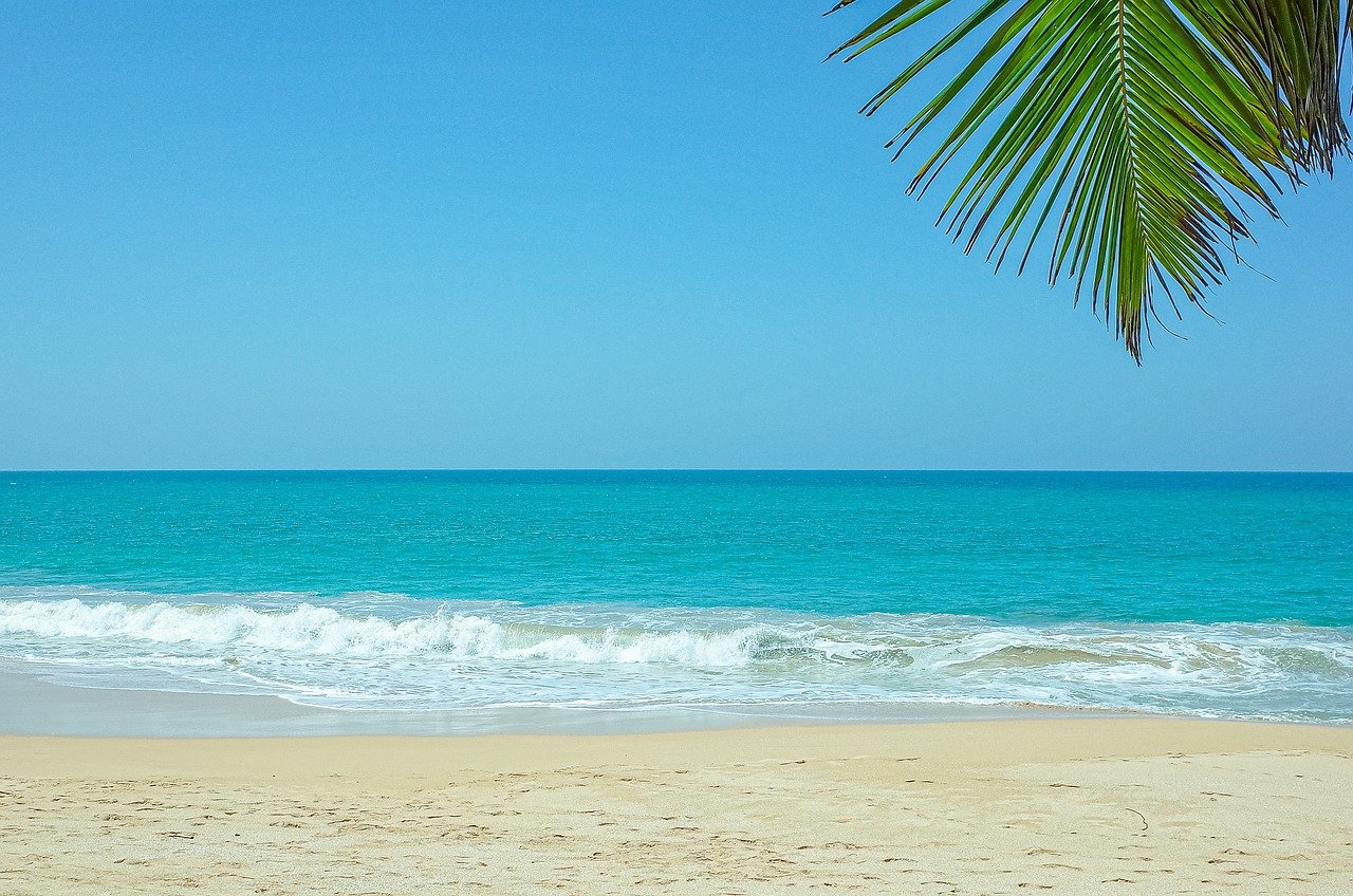 bleu, vert, mer, océan, plage, nature, bentota, sri lanka, tropical, extérieur, paysage, baie, vacances, panorama, magnifique, eau, côte, après-midi paisible