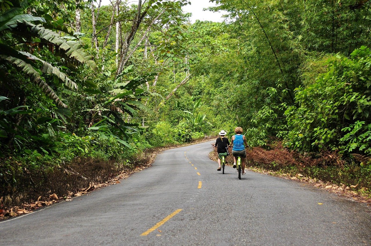 panama, bocas del toro, bicicletta, natura, giro, strada, giungla, tropicale