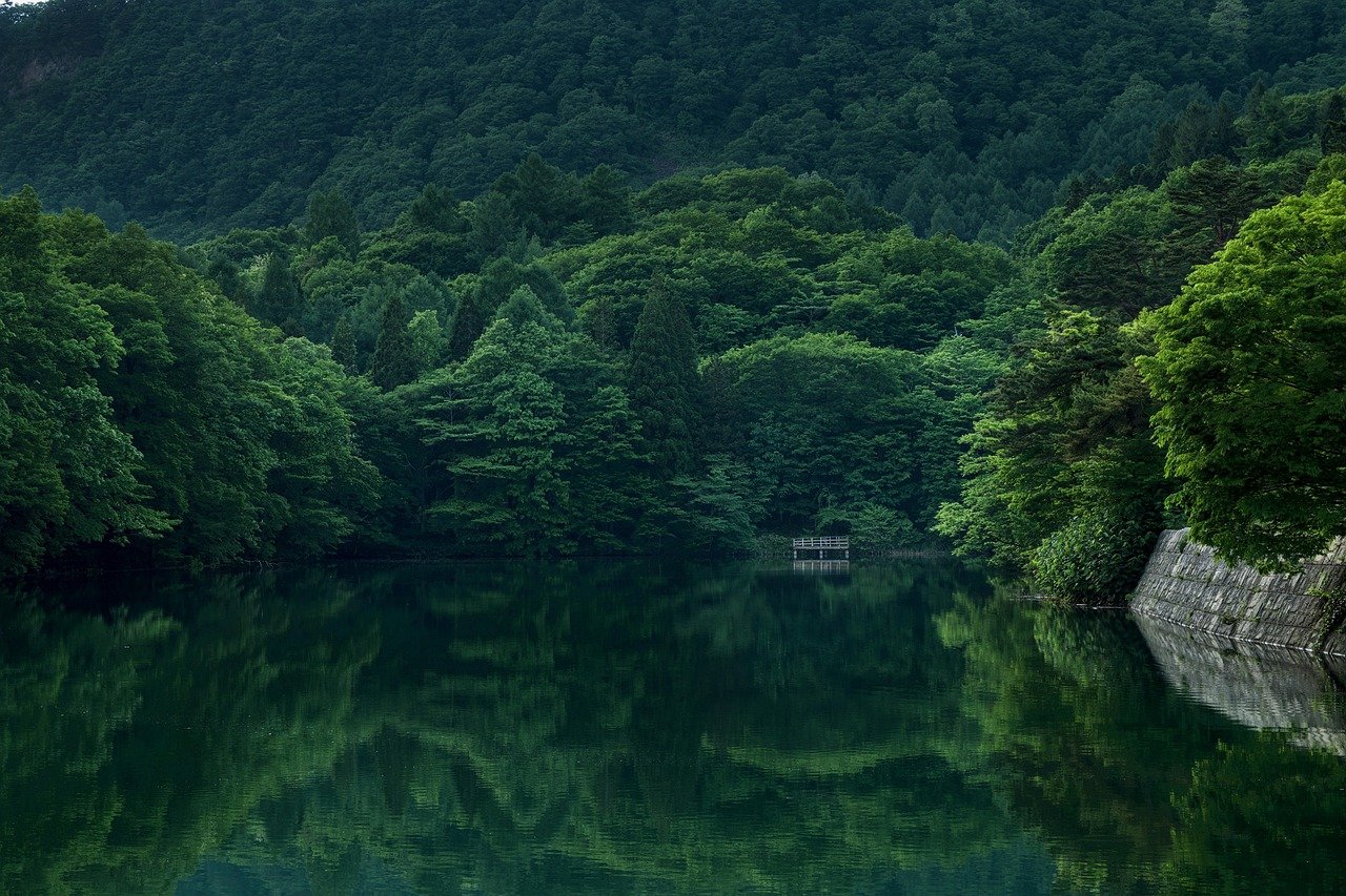 lake, forest, dock, water, nature, landscape, mountain