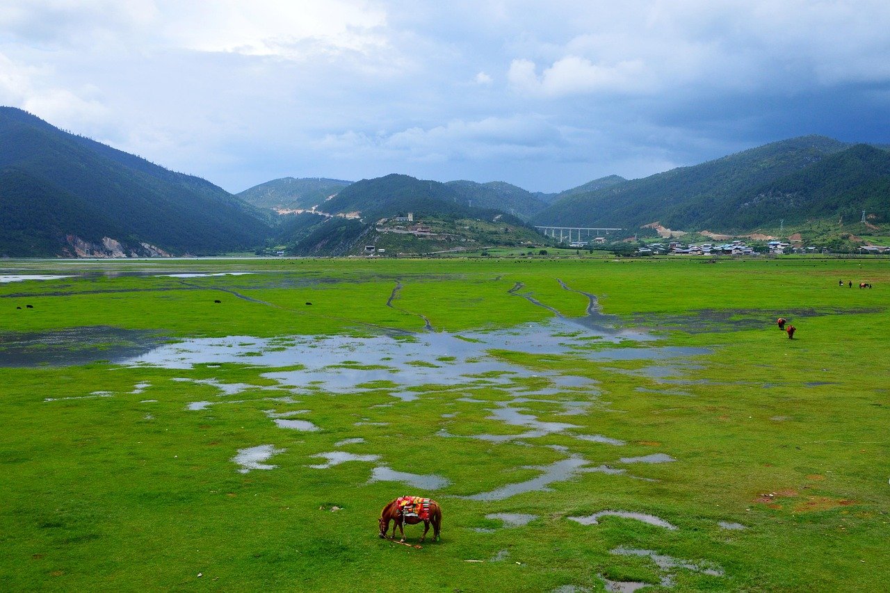 yunnan, grasland, shangri-la, yunnan, yunnan, yunnan, yunnan, yunnan, shangri-la, shangri-la, shangri-la, shangri-la
