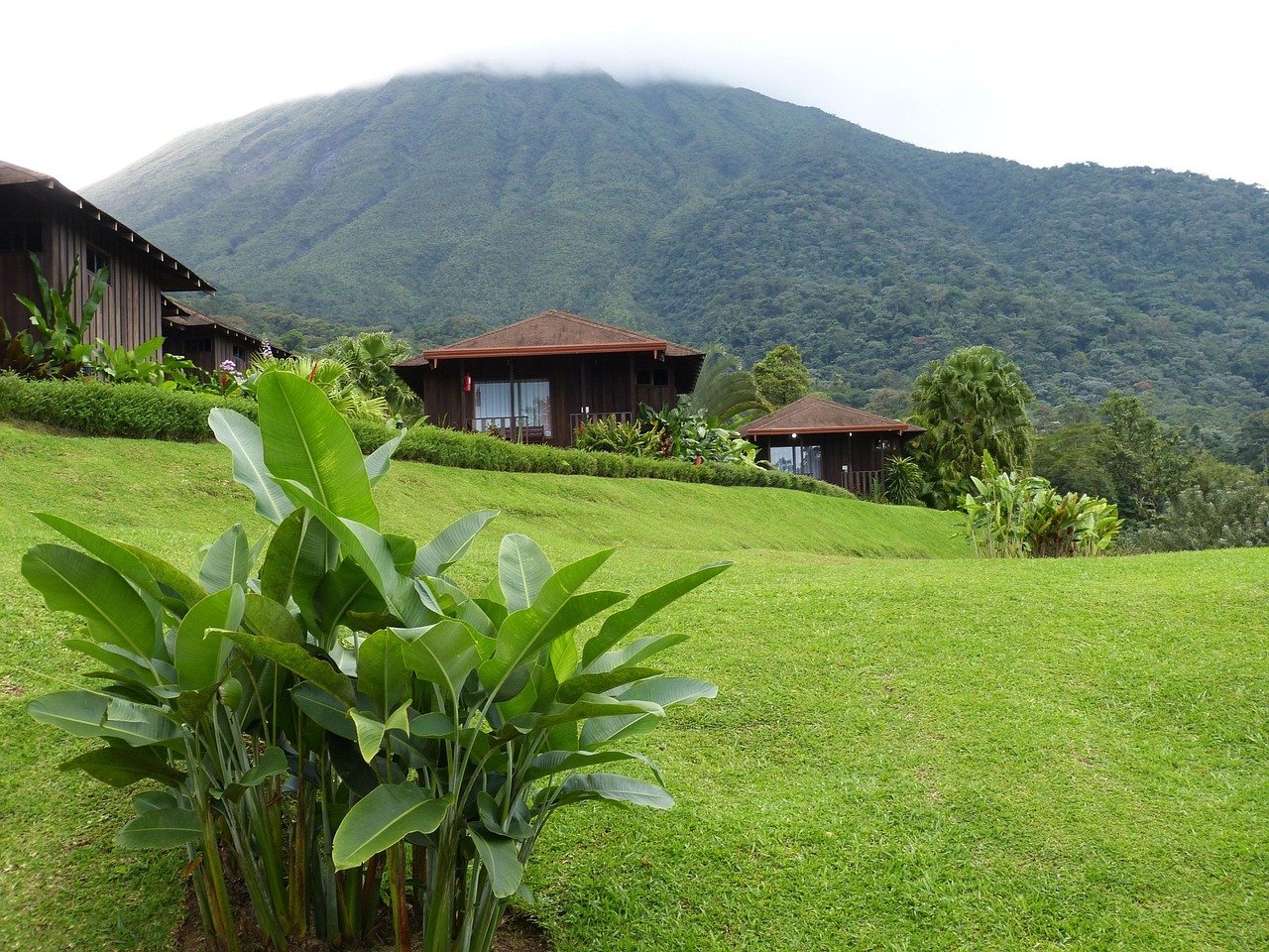 vulcano, arenal, costa rica, america centrale, natura, tropici, tropicale, alloggio, turismo, prato, paesaggio, vegetazione tropicale, foresta tropicale, foresta pluviale, giungla
