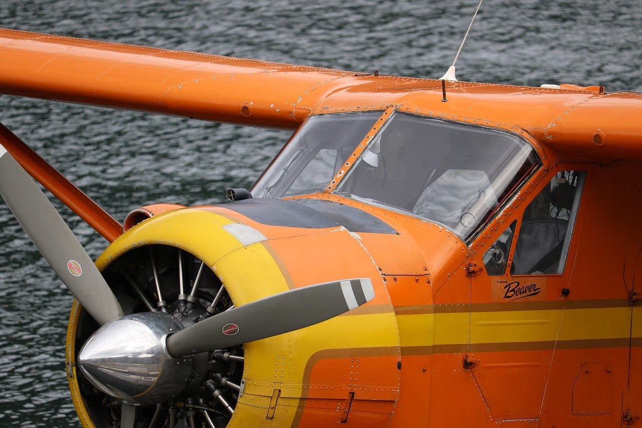 beaver, avión, Nootka Sound, hidroavión, hidroavión, hidroavión, naturaleza, aviación, pontones, agua