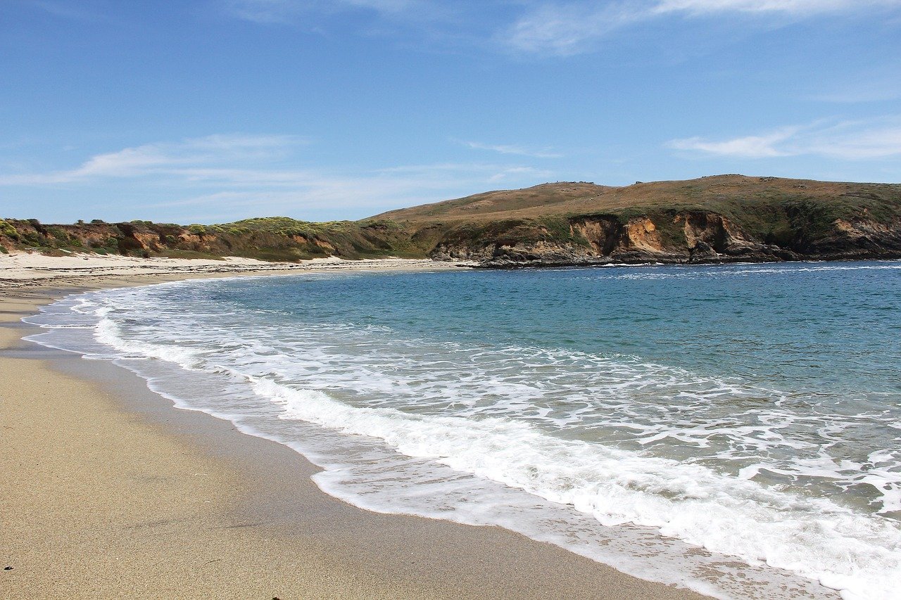 playa, california, naturaleza, bodega bay, horseshoe cove, marino, agua, costa, océano